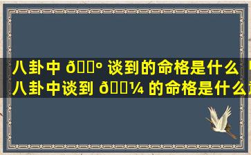八卦中 🌺 谈到的命格是什么「八卦中谈到 🌼 的命格是什么意思」